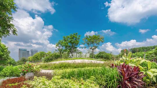 【正版素材】深圳光明大顶岭绿道视频素材模板下载