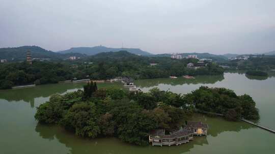 鸟群鸟岛惠州西湖航拍