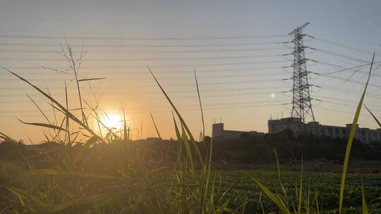 温暖的夕阳下,随风摇摆的小草,远处的高塔