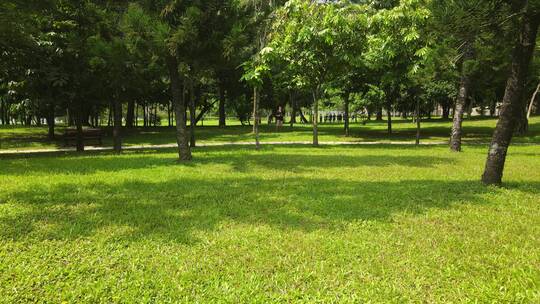 莲花山公园 莲花湖 漾日湖 莲花村