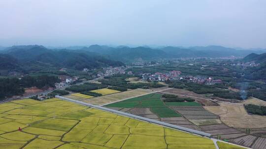 临安 於潜 美丽城市 美丽乡村 桥 流水