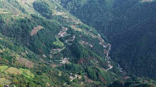 秦岭森林秋色山路