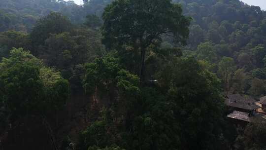 道路小路树林山恋森林