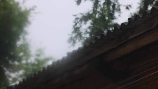 下雨的屋檐与竹林