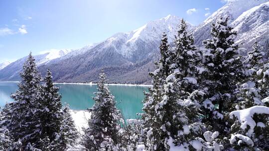 西藏然乌湖雪山森林湖泊雾凇雪景风光