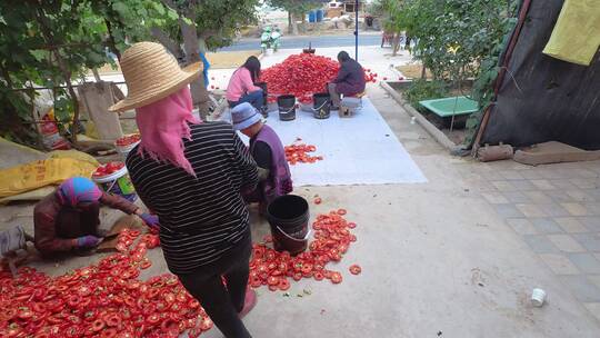 俯拍农村妇女手工甜椒挖瓤取籽延时摄影