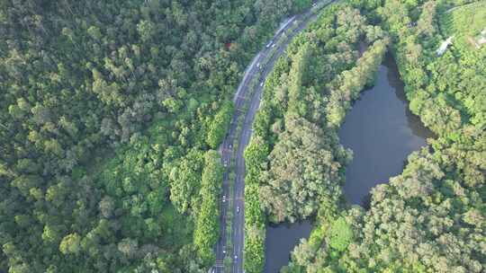 山林间道路航拍