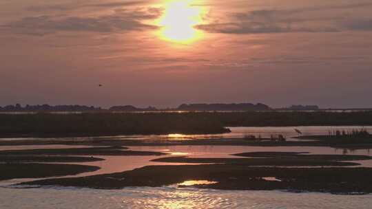 泻湖，水，风景，鹳