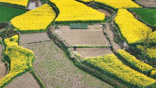 春天里陕西汉中新农村辛勤耕作的农民视频素材模板下载