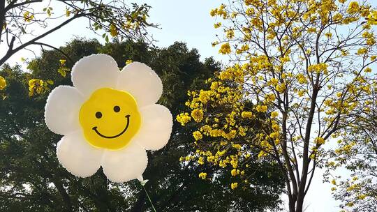 公园温馨花儿笑脸气球
