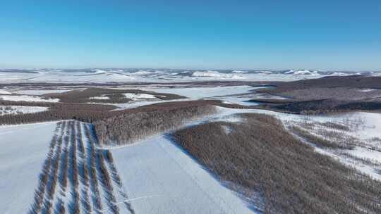 大兴安岭丘陵山地寒冬山林雪景自然风光