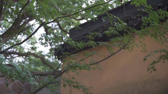 杭州宝石山景区智果寺旧址