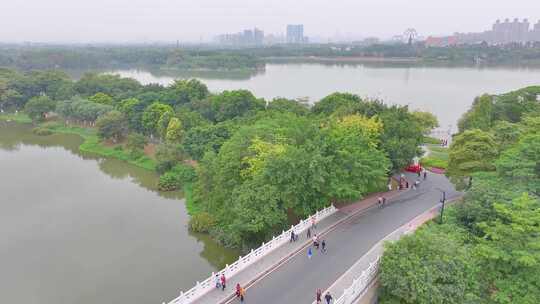 广州海珠湖湿地公园航拍海珠区城市地标