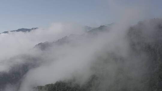 飞越山林云海