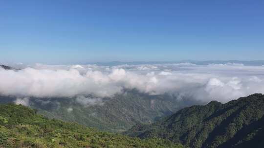 陕西安康云海梯田风光