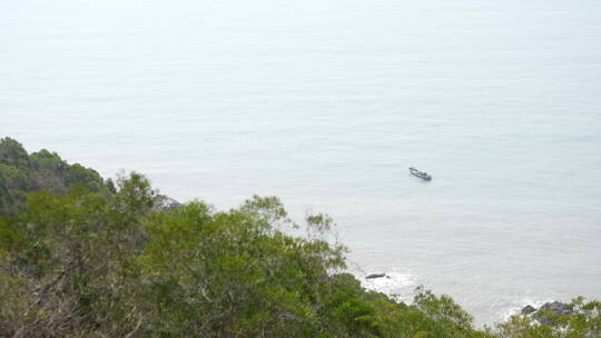 树林森林海滩海浪大海海滨海边沙滩