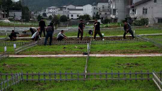 劳动空镜刨土锄地农场工人耕作劳作翻土