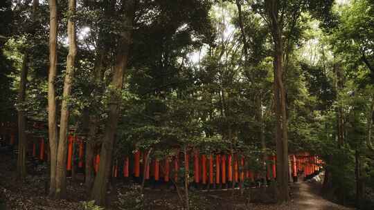 日本京都神社