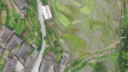 航拍大山梯田风光