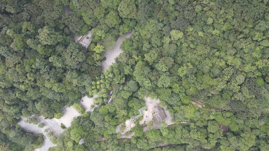 航拍祖国大好河山青山森林植物丘陵