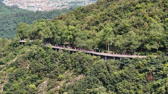 广东观音山国家森林公园第十二届登山大赛