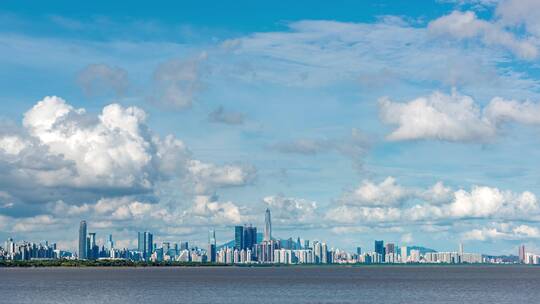 深圳湾海岸线