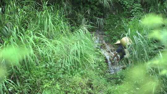 山泉水 水源