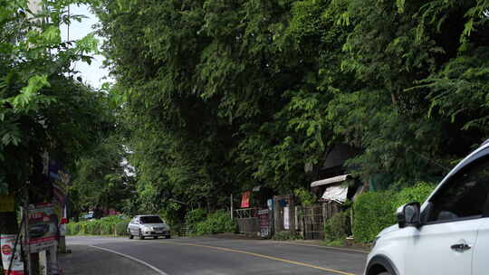 农场农村乡村街道道路马路汽车车辆树林