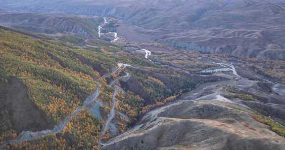 新疆白哈巴盘山公路秋景