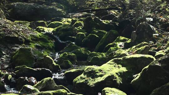 绿石青苔小溪流水