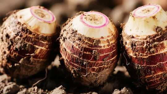 荔浦芋头香芋大芋头视频素材