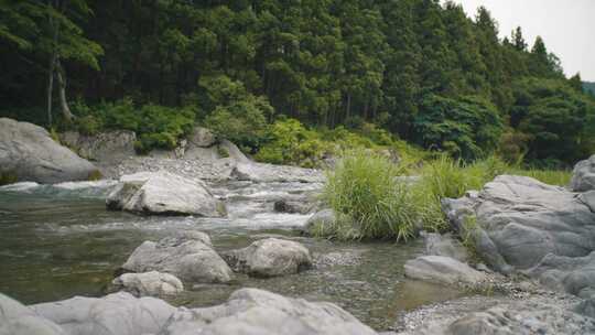 河流在森林旁边的大石头之间流动