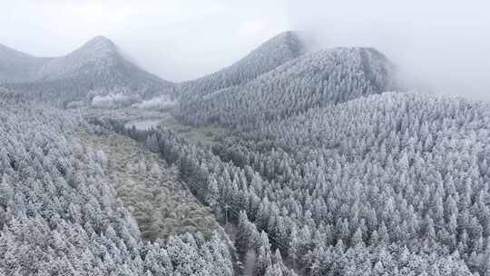 浙江丽水遂昌白马山森林公园4K云海雪景航拍