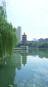 武汉汉口宝岛公园竖屏风景