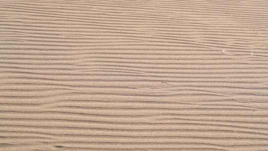 沙漠沙丘表面平行沙纹线