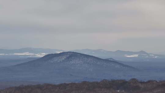 广阔雪林全景