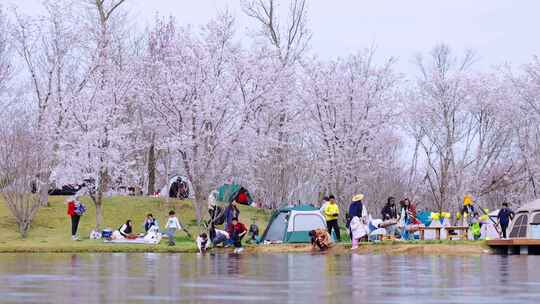 春天户外露营 踏青