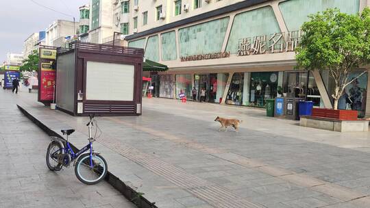 疫情解封街道街头商店步行街马路交通