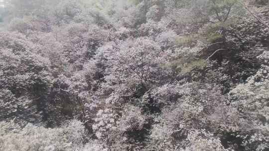 安徽黄山风景区索道缆车雪山美景风景视频素