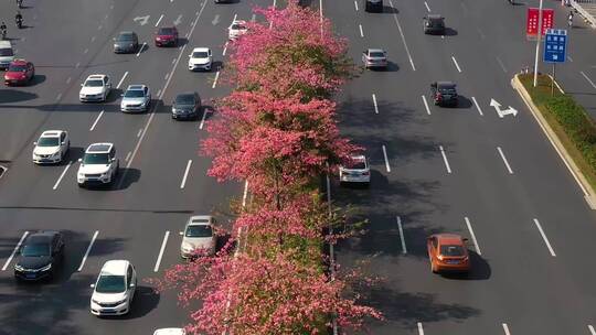 民族大道 车水马龙