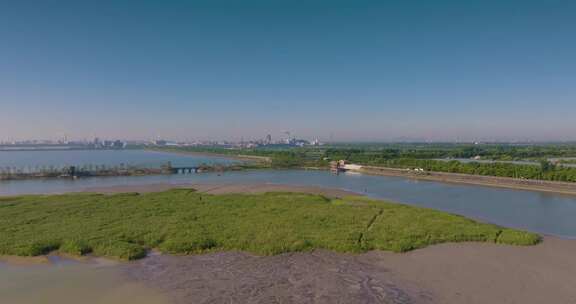 杭州钱塘大湾区湿地公园航拍视频