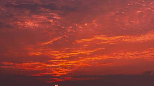 夏天唯美树叶阳光空镜头