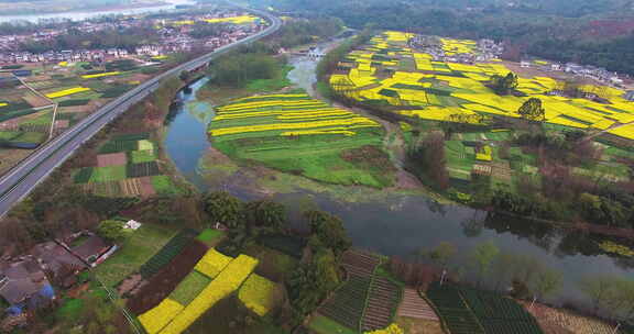 航拍中国基础建设高速公路穿越春天花海田野