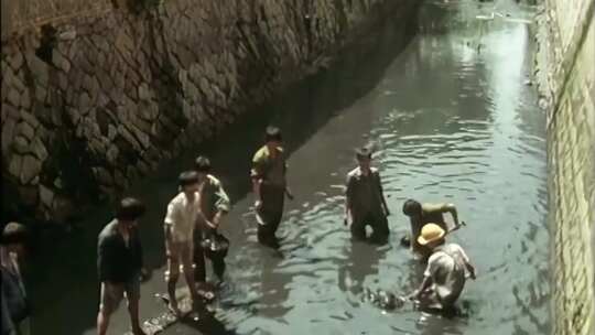 70年代80年代挖淤泥疏通河道