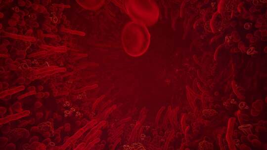 静脉中的红细胞视频素材模板下载