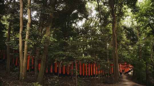 日本，京都，伏见稻荷，日本神社