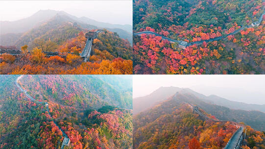 航拍长城秋景合集高清在线视频素材下载