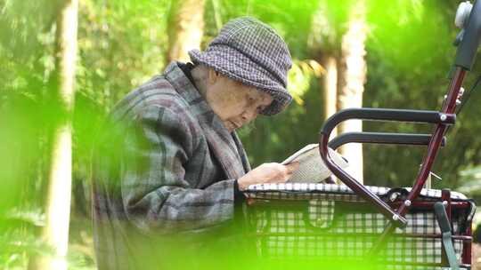 老人 退休生活 老人看书