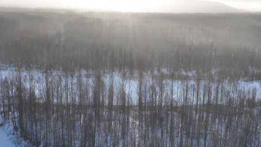 航拍冷空气笼罩的雪原树林