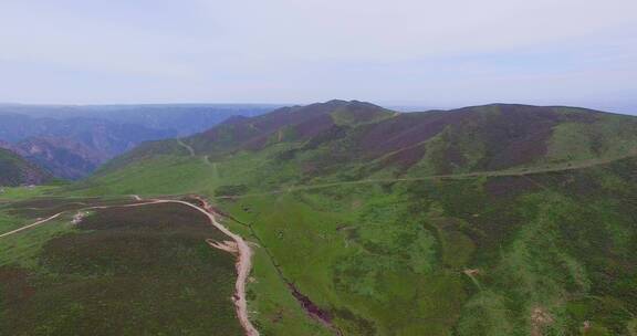 青海 山顶 草原 草地 航拍 山路